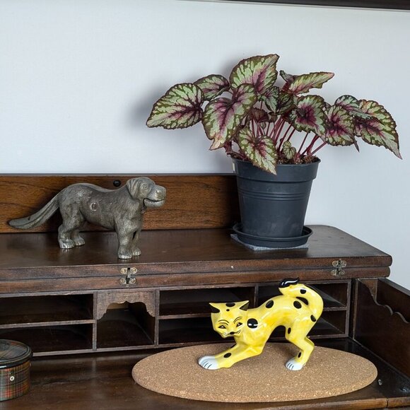 Lorna Bailey Signed Spotted Yellow Cat Standing - Picture 2 of 5